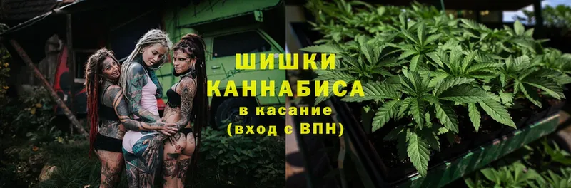 Каннабис Bruce Banner  Великий Устюг 